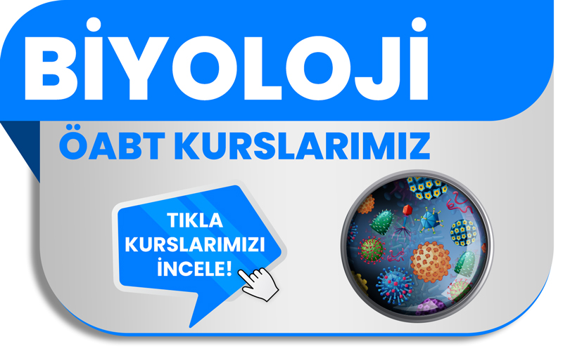 BİYOLOJİ ÖABT